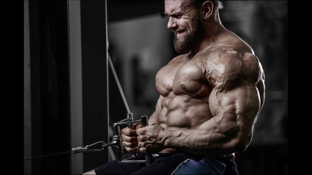 тренболон энантат тренировка